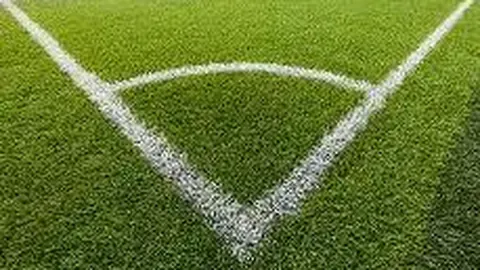 2025澳网迎来匹克球赛事，奖金高达10万美元